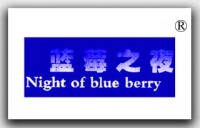 蓝莓之夜