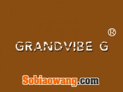 GRANDVIBE G