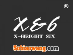X&6 XHEIGHT SIX