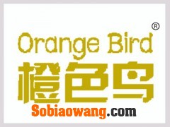 Orange Bird橙色鸟