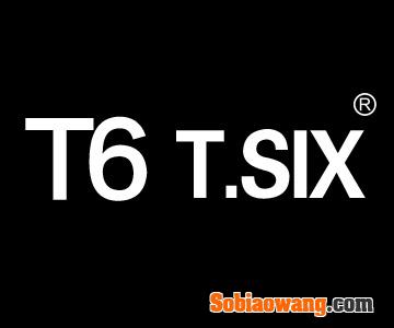 T6.TSIX