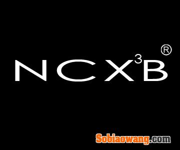 NCX3B