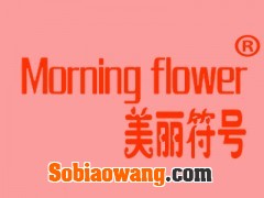美丽符号 MORNING FLOWER
