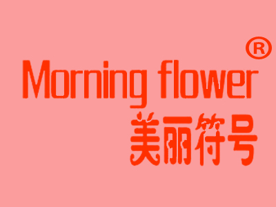 美丽符号 MORNING FLOWER