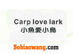 小鱼爱小鸟 CARP LOVE LARK