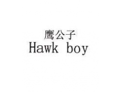 鹰公子 HAWK BOY
