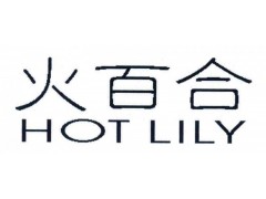 火百合 HOT LILY