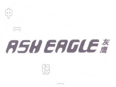 灰鹰;ASH EAGLE